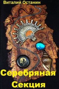 Обложка к Виталий Останин. Серебряная Секция. Сборник книг