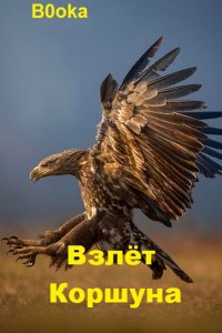 Обложка к B0oka. Взлёт Коршуна